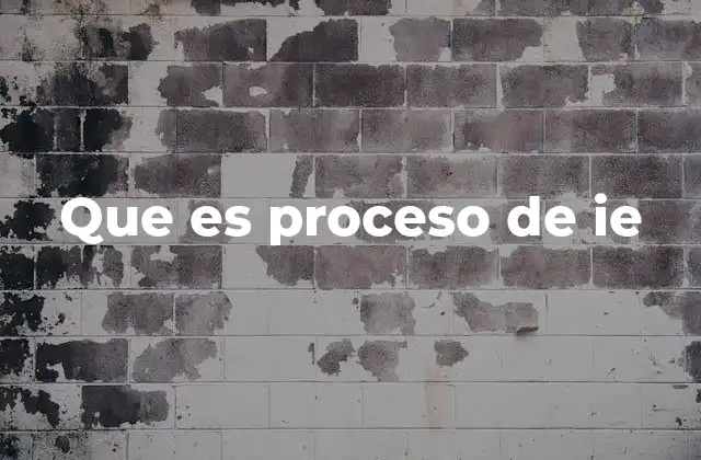 Que es Proceso de Ie