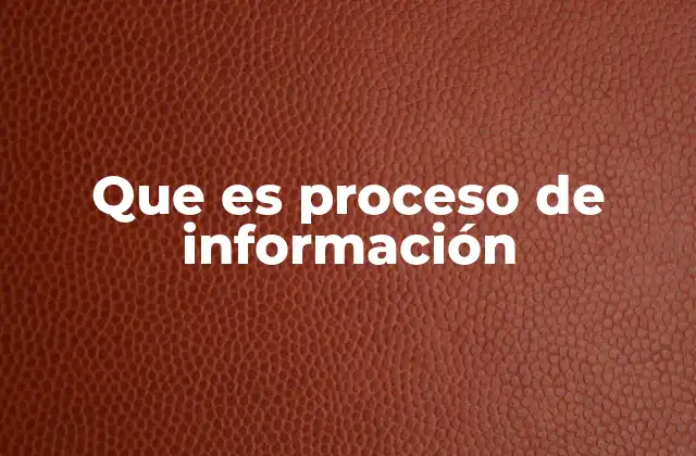 Que es Proceso de Información