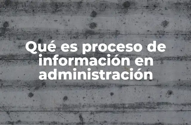 Qué es Proceso de Información en Administración