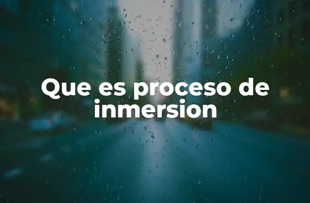 Que es Proceso de Inmersion