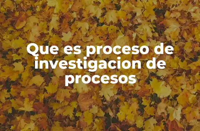 Que es Proceso de Investigacion de Procesos