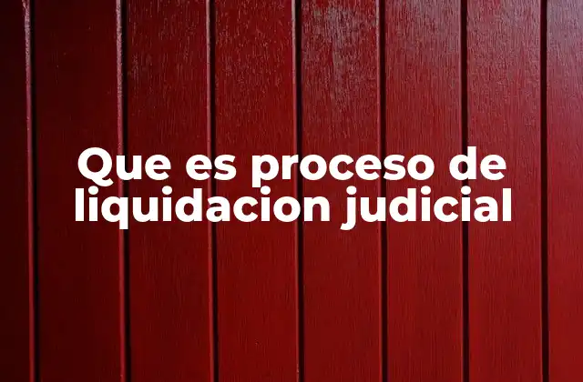 Que es Proceso de Liquidacion Judicial