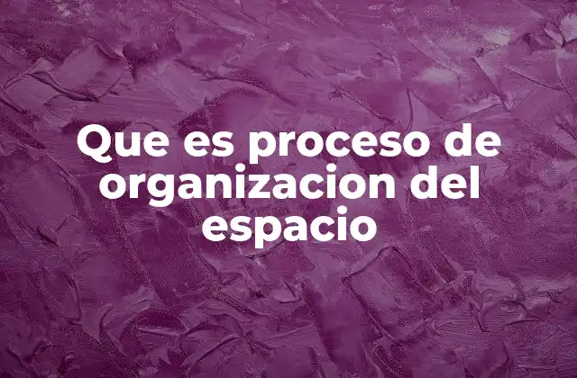 Que es Proceso de Organizacion Del Espacio