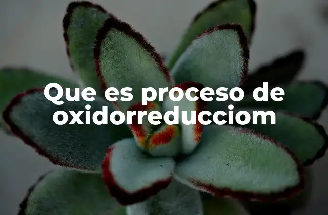 Que es Proceso de Oxidorreducciom