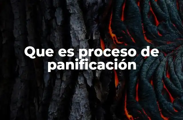 Que es Proceso de Panificación