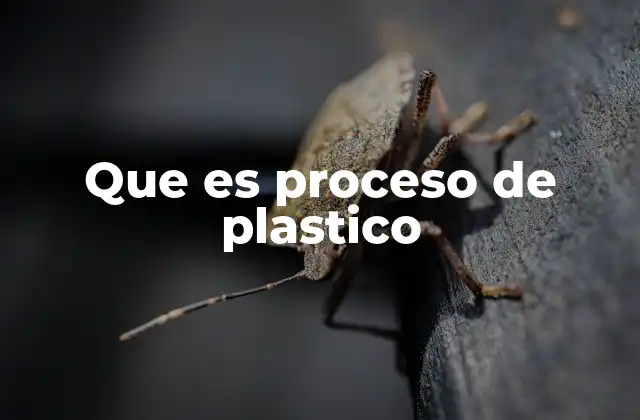 Que es Proceso de Plastico