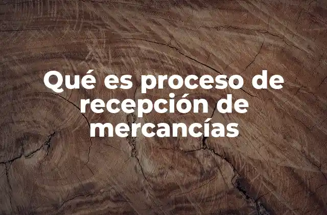 Qué es Proceso de Recepción de Mercancías