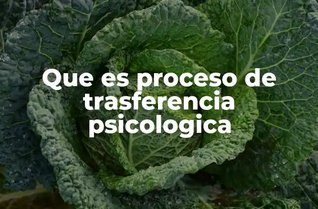 Que es Proceso de Trasferencia Psicologica