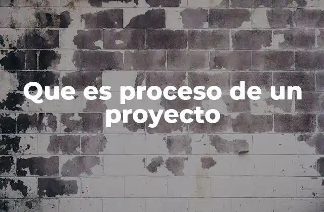 Que es Proceso de un Proyecto