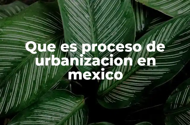 Que es Proceso de Urbanizacion en Mexico