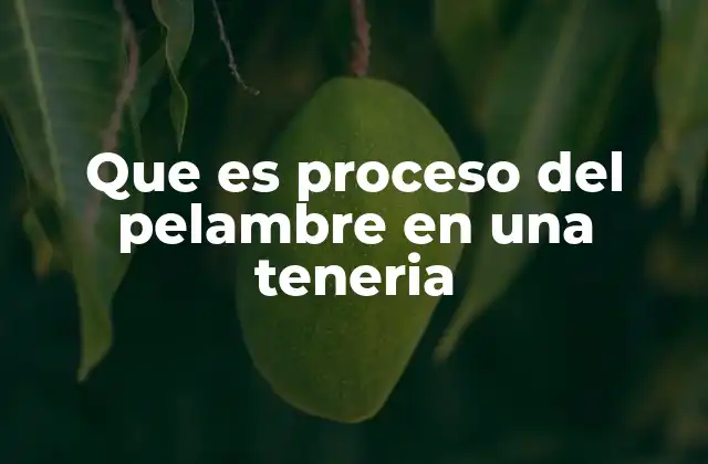 Que es Proceso Del Pelambre en una Teneria