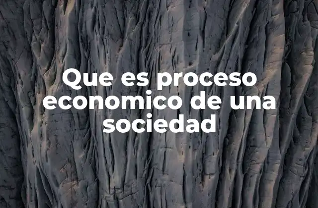 Que es Proceso Economico de una Sociedad
