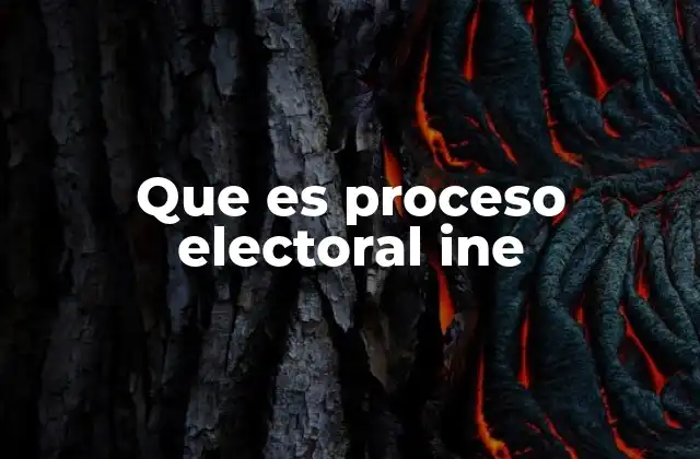 Que es Proceso Electoral Ine