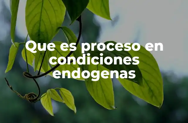 Que es Proceso en Condiciones Endogenas