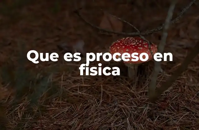 Que es Proceso en Fisica
