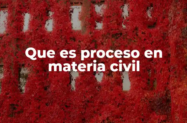 Que es Proceso en Materia Civil