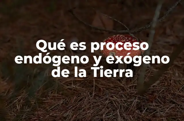 Qué es Proceso Endógeno y Exógeno de la Tierra