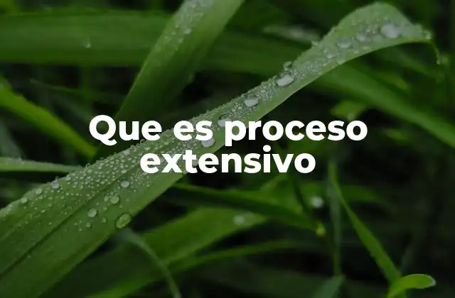 Que es Proceso Extensivo