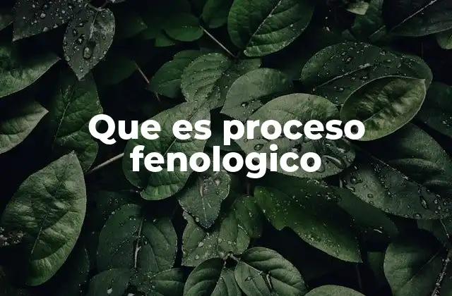 Que es Proceso Fenologico