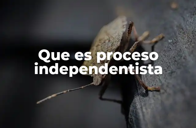 Que es Proceso Independentista