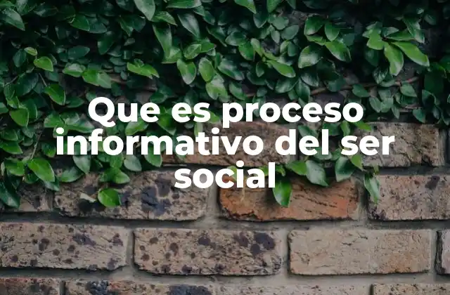 Que es Proceso Informativo Del Ser Social 2 Cómo se desarrolla el proceso informativo en el contexto social