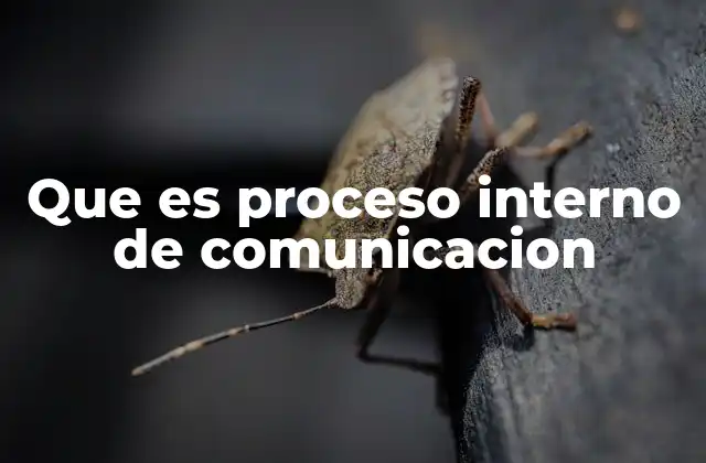 Que es Proceso Interno de Comunicacion