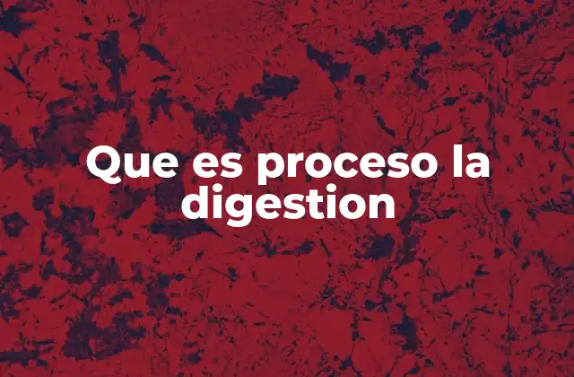 El viaje de los alimentos por el cuerpo