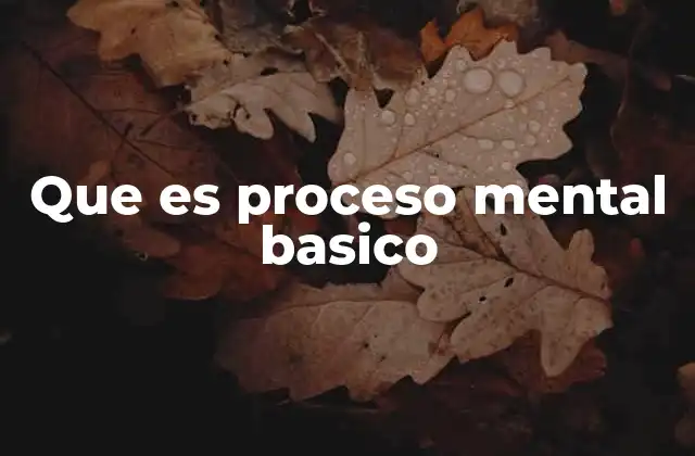 Que es Proceso Mental Basico