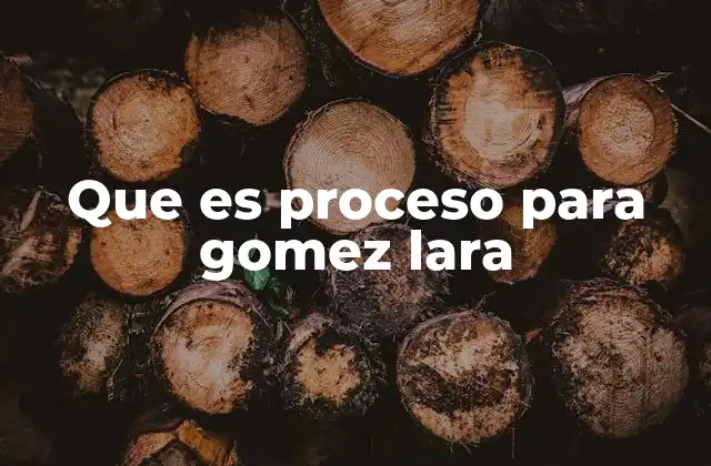 Que es Proceso para Gomez Lara