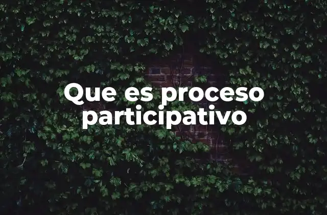 Que es Proceso Participativo