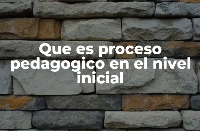 Que es Proceso Pedagogico en el Nivel Inicial