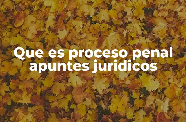 Que es Proceso Penal Apuntes Juridicos