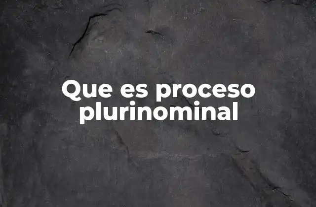 Que es Proceso Plurinominal