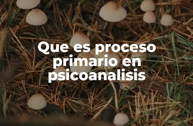 Que es Proceso Primario en Psicoanalisis