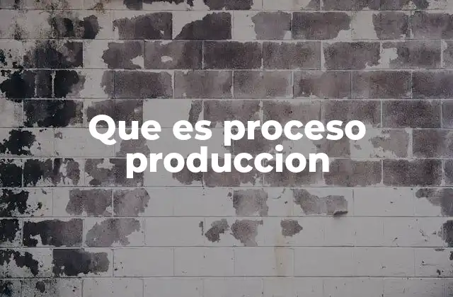 Que es Proceso Produccion