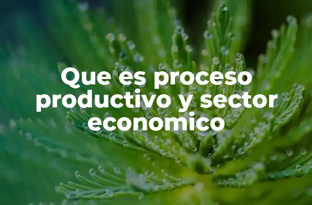 Que es Proceso Productivo y Sector Economico