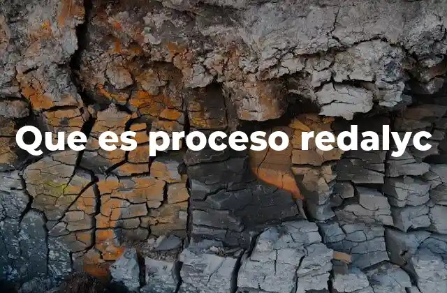 Que es Proceso Redalyc