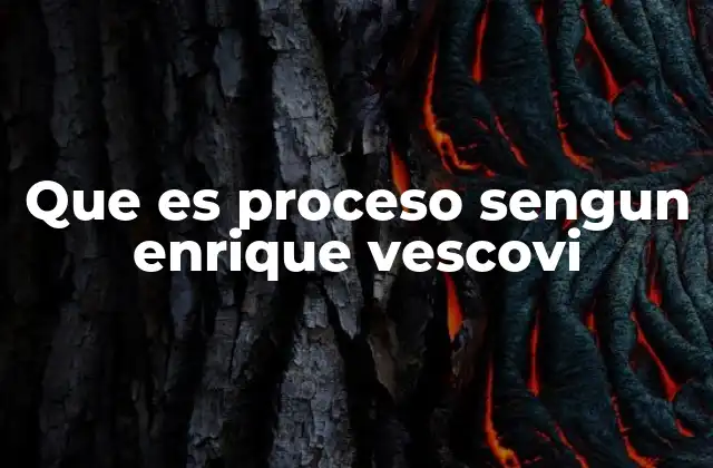 Que es Proceso Sengun Enrique Vescovi