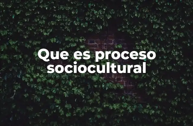 Que es Proceso Sociocultural