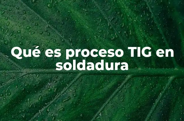 Qué es Proceso Tig en Soldadura 2 Características del proceso TIG