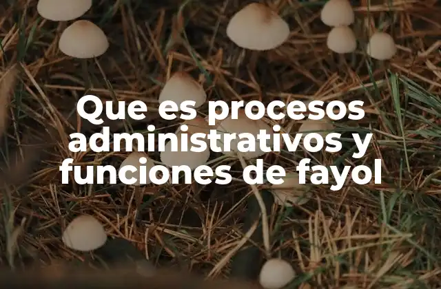 Que es Procesos Administrativos y Funciones de Fayol 2 Cómo los procesos administrativos estructuran la gestión empresarial