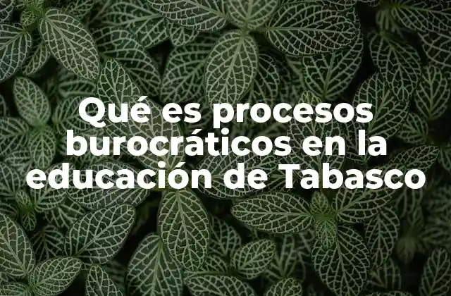 Qué es Procesos Burocráticos en la Educación de Tabasco
