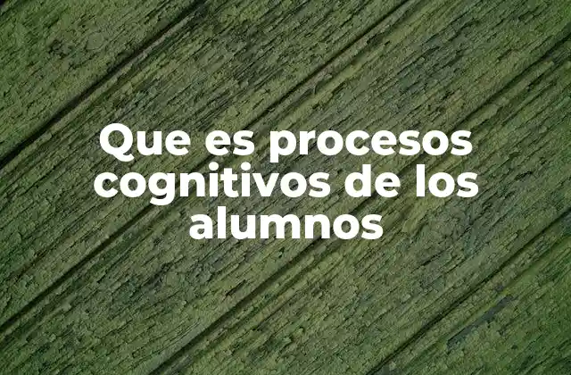 Que es Procesos Cognitivos de los Alumnos