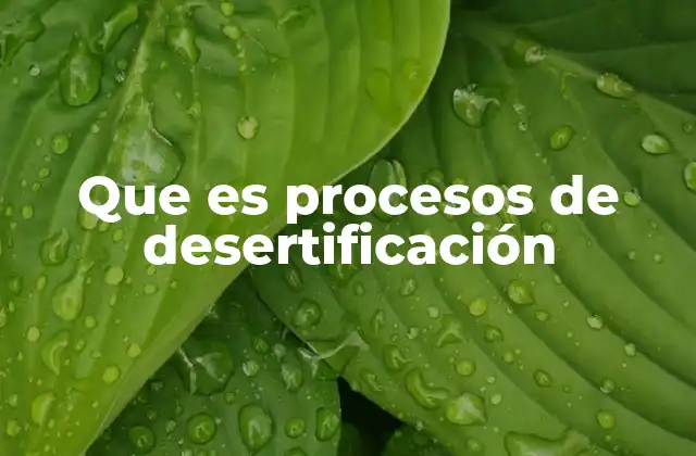 Que es Procesos de Desertificación 2 Causas y factores que aceleran la degradación del suelo