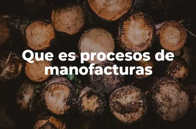 Que es Procesos de Manofacturas