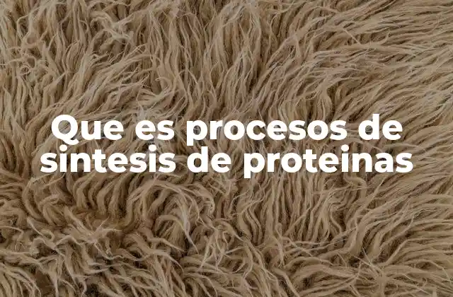 Que es Procesos de Sintesis de Proteinas