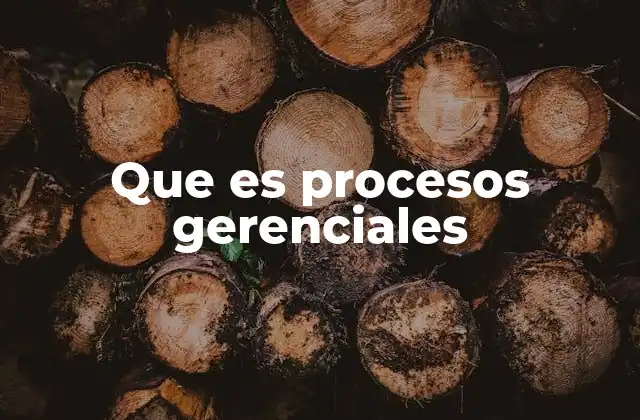 Que es Procesos Gerenciales