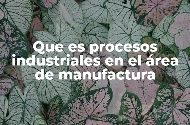 Que es Procesos Industriales en el Área de Manufactura
