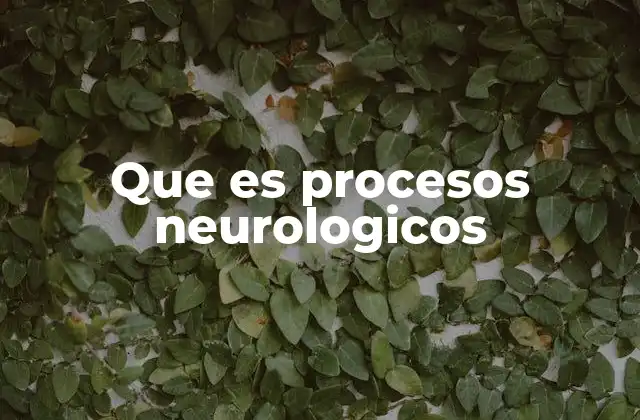 Que es Procesos Neurologicos