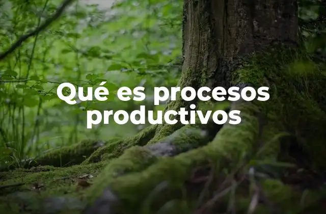Qué es Procesos Productivos
